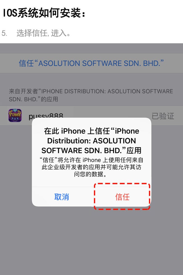 安裝教程 9 (中文)